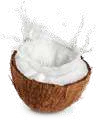 Kokosový olej